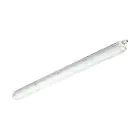 Philips Stagna LED CoreLine Plastica 29W 4000lm - 840 Bianco Freddo| 120cm - Sostitutiva 2x36W